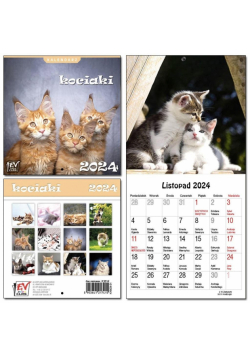 Kalendarz 2024 dla dzieci 16x32 13 plansz Kociaki