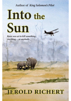 Into the Sun