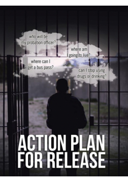 Action Plan for Release
