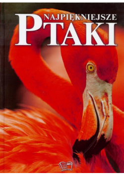 Najpiękniejsze ptaki