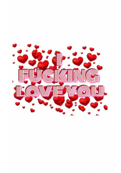 Valentine's I  fucking love you creative blank  journal