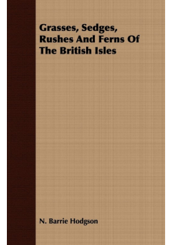 Grasses, Sedges, Rushes And Ferns Of The British Isles