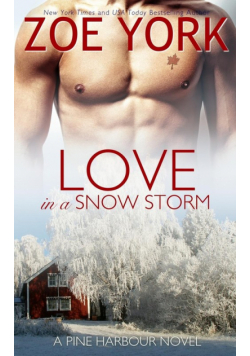 Love in a Snowstorm