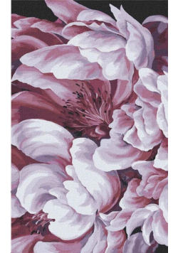 Malowanie po numerach - Magia peoni 3 25x40cm