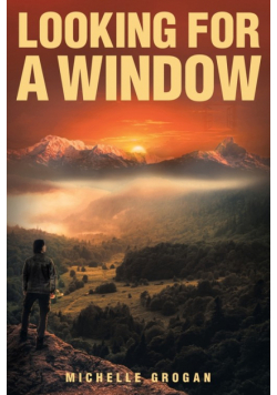 Looking for a Window