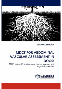 Mdct for Abdominal Vascular Assessment in Dogs