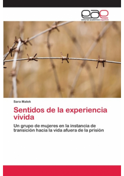 Sentidos de la experiencia vivida