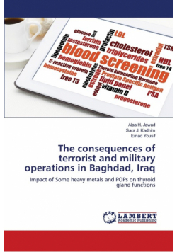 The consequences of terrorist and military operations in Baghdad, Iraq