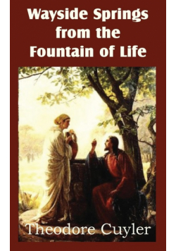 Wayside Springs from the Fountain of Life