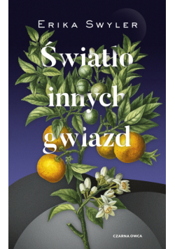 Światło innych gwiazd