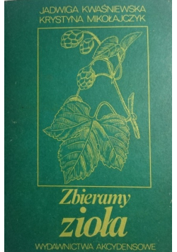 Zbieramy zioła