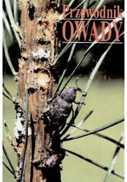 Przewodnik Owady