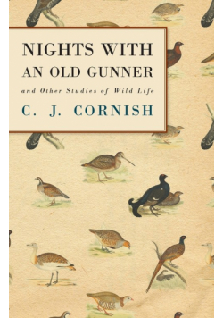 Nights With an Old Gunner and Other Studies of Wild Life