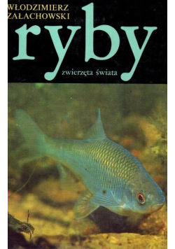 Ryby zwierzęta świata