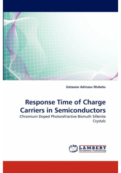 Response Time of Charge Carriers in Semiconductors