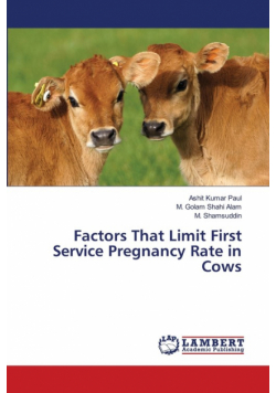 Factors That Limit First Service Pregnancy Rate in Cows