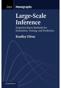 Large-Scale Inference