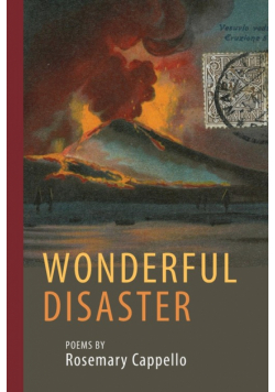 Wonderful Disaster