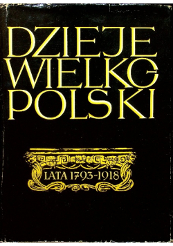 Dzieje Wielkopolski Lata 1793 - 1918 Tom II