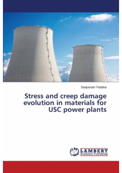 Stress and creep damage evolution in materials for USC power plants