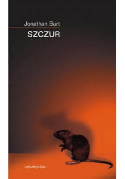 Szczur