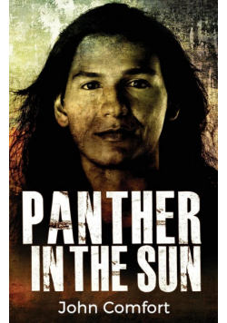 Panther in the Sun