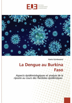 La Dengue au Burkina Faso