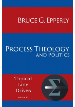 Process Theology and Politics