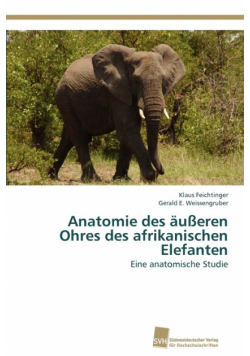 Anatomie des äußeren Ohres des afrikanischen Elefanten