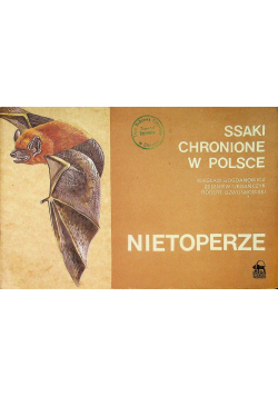 Ssaki chronione w Polsce Nietoperze