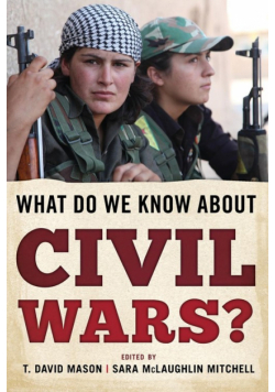 What Do We Know about Civil Wars?