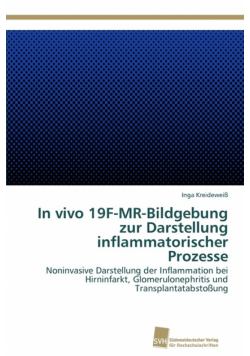 In vivo 19F-MR-Bildgebung zur Darstellung inflammatorischer Prozesse