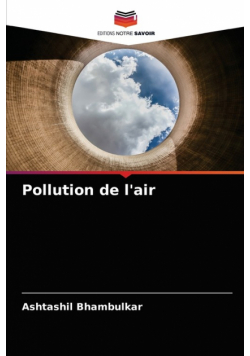 Pollution de l'air