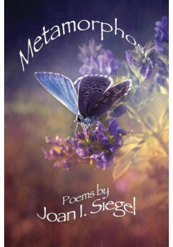 Metamorphosis