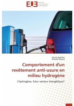 Comportement d'un  revêtement anti-usure en milieu hydrogène