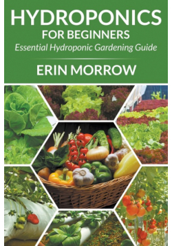 Hydroponics For Beginners