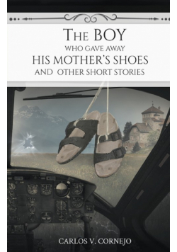 The Boy Who Gave Away His Mother's Shoes
