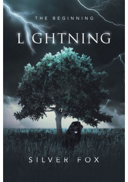 Lightning