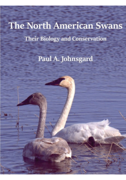 The North American Swans