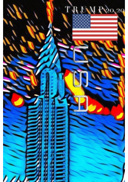 Trump  New York city  Empire state Building Journal 2020