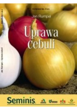 Uprawa cebuli