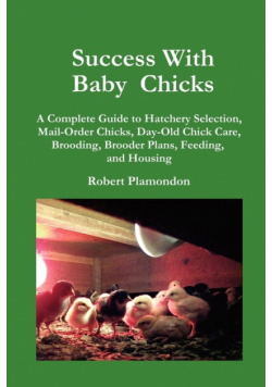 Success with Baby Chicks