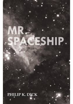 Mr. Spaceship
