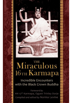 The Miraculous 16th Karmapa