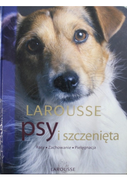Psy i szczenięta Rasy Zachowanie Pielęgnacja