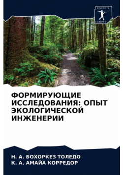 ФОРМИРУЮЩИЕ ИССЛЕДОВАНИЯ