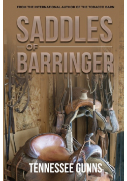 Saddles of Barringer