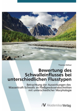 Bewertung des Schwalleinflusses bei unterschiedlichen Flusstypen