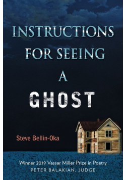 Instructions for Seeing a Ghost