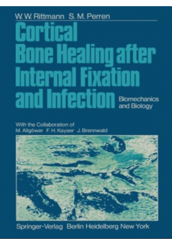 Cortical Bone Healing After Internal Fixation and Infection